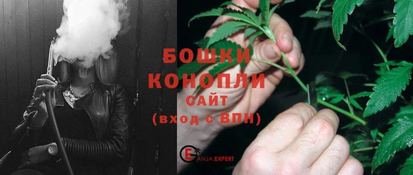 ГАЛЛЮЦИНОГЕННЫЕ ГРИБЫ Майский
