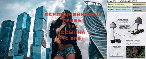 ГАЛЛЮЦИНОГЕННЫЕ ГРИБЫ Майский