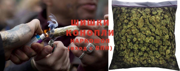PSILOCYBIN Липки