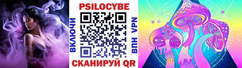 Галлюциногенные грибы прущие грибы  MEGA tor  Сунжа 